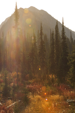 tumblr_mu6scnghwa1qb47plo1_250