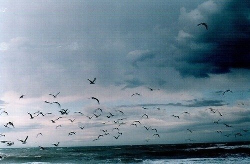 tumblr_mwfbfkCw5Z1rz41l5o3_500