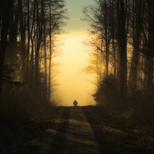 tumblr_mgwlplnNfv1rln7xto1_1280